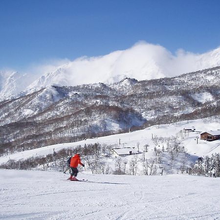 Hotel Cerulean Alpine Отари Экстерьер фото